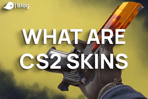 CS2 skins explained