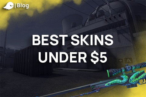 Skins under 5 dollars
